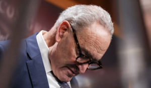 Schumer Worried SAVE Act Will Remove 'Tens of Billions' of Illegals From Voter Rolls