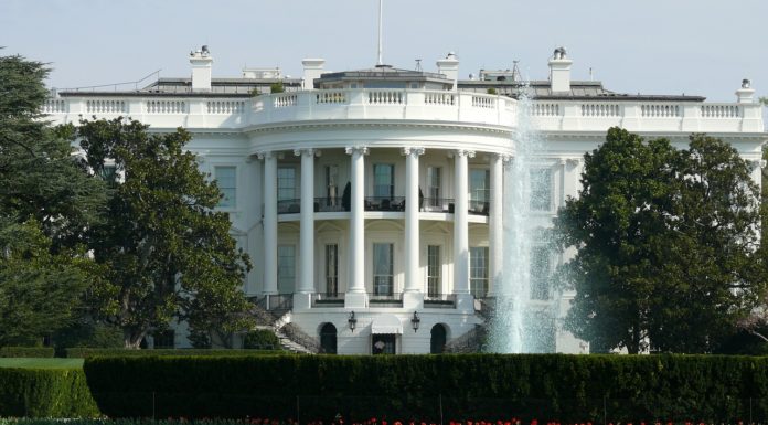 Trump Names Adam Telle as Acting Army Secretary Immediately
