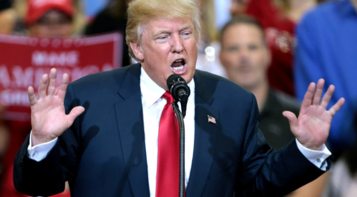 Trump Unveils ‘AI Force’ And Names ‘Czar’ To Oversee Industry