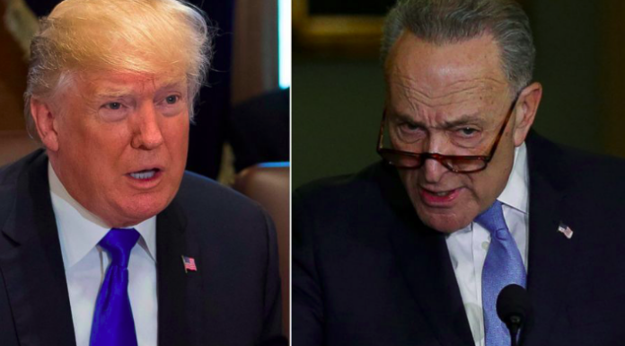 Trump Comments On Schumer During Press Gaggle