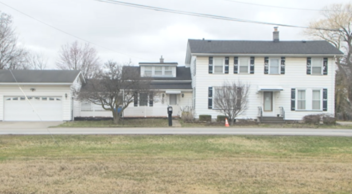 New York Teacher’s Disturbing Secrets Come To The Surface