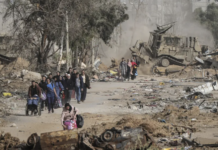 Instagram Influencer Challenges GOP Incumbent