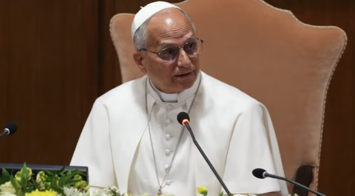 Pope Leo’s Encyclical on AI Seems To Be A Hit