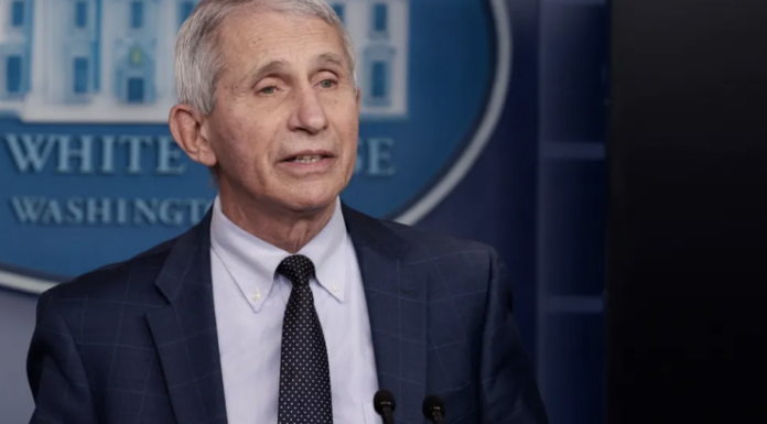 DOJ Weighing Fresh Fauci Charges