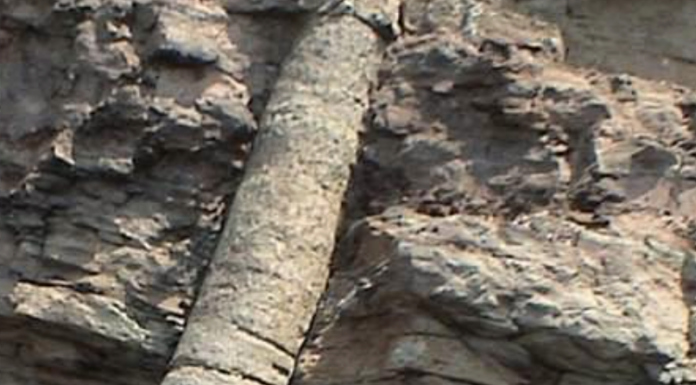 Mysterious Fossils Found Could Prove Famous Bible Story True