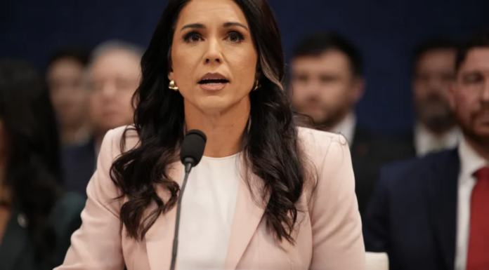 DNI Tulsi Gabbard Probes Foreign Bio-Research Funding