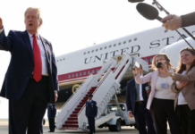 See Trump’s Reaction To The New Air Force One